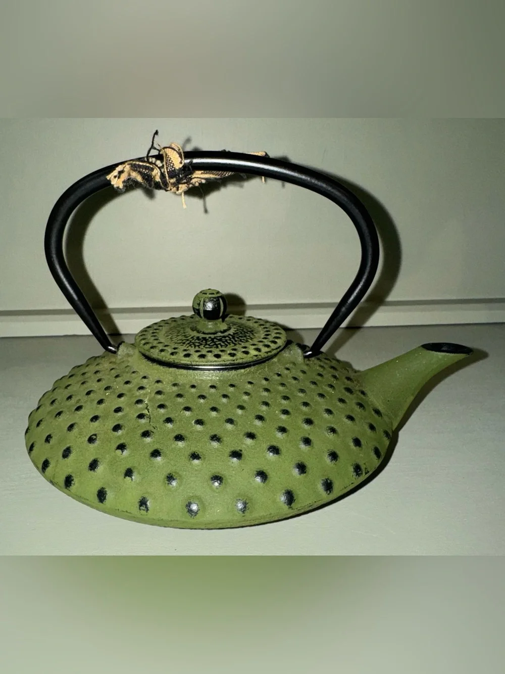 Bredemeijer Xilin Cast Iron Tea Pot